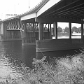 Morrison (b&w)